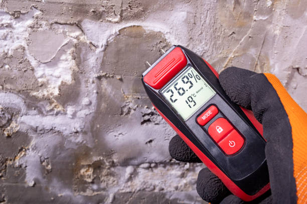 Best Mold Remediation for Schools in La Grange Park, IL