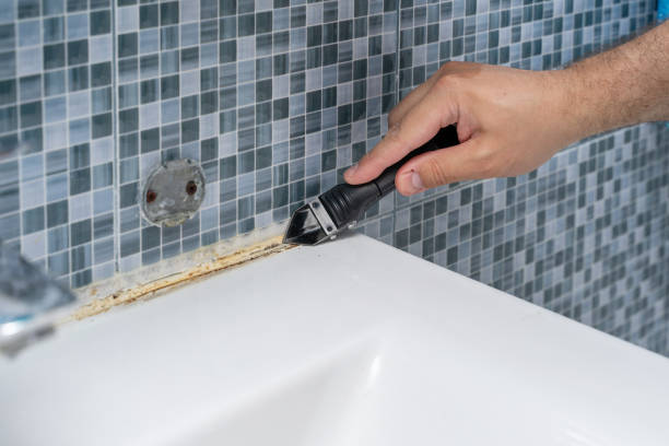 Best Mold Testing and Inspection Services in La Grange Park, IL